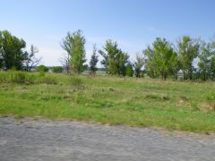 Тюмень2010 Весна Окунь