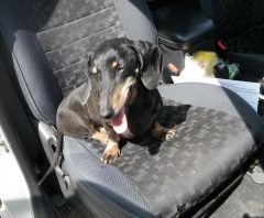 жарко нах.jpg