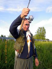 ФМА и окунь