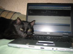 В честь его мой ник.