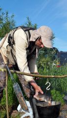 Изображение 345.jpg