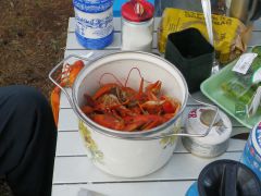 IMGP0802_новый размер.jpg