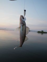 IMGP0806_новый размер.jpg