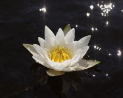 IMG_5561_новый размер.jpg