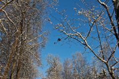 30/11/2010 павловск