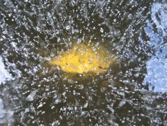 из архивов - 2008