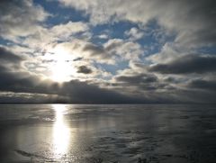 из архивов - 2008