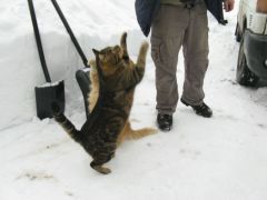 IMG_0909 [800x600].JPG