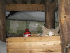 IMG_0938 [800x600].JPG