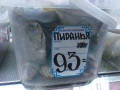 Пираньи из г. СОветский