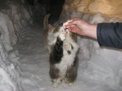 IMG_0969 [800x600].JPG