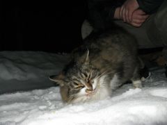 IMG_0962 [800x600].JPG