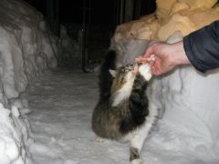 IMG_0966 [800x600].JPG