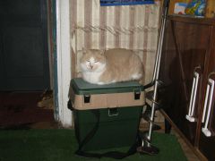 IMG_1012 [800x600].JPG