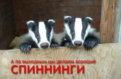 Спиннинги баджер