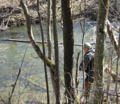 Лето 2011 ФОРЕЛЬ