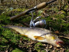 GP0527_ Копия.jpg