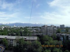 Вид из окна