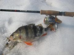 Райзер окунь джиг.jpg