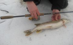 Райзер щука джиг.jpg