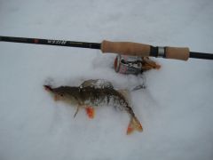 Зима МР гнидка райзер.jpg