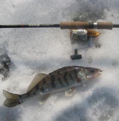 Райзер судак отводной.jpg