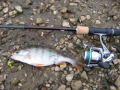 Главное Юм.jpg