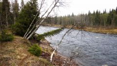 Кольский 2011 весна