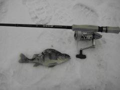 открываем официальный счет по Райзеру.jpg