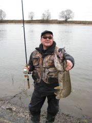 Учитель и профи.jpg