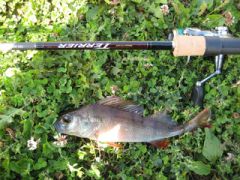 Правильная палка.jpg