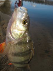 МР зима правильная резина.jpg