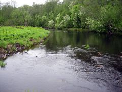 Свирь - Трут - Май. 6..jpg