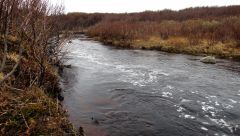 кумжовая река.jpg