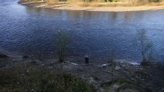 миша на секретной яме.jpg