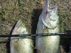 мистик (2).JPG