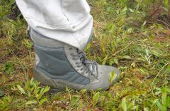 новые ботики Сват.jpg