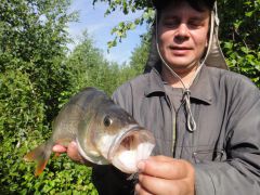 мне дали пива теперь я доволен.jpg