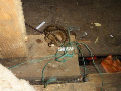 подарочек под койкой.jpg