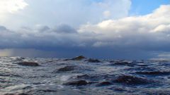 Псковское озеро