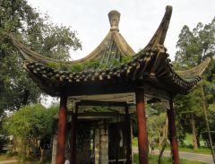 древняя такая хуета.JPG