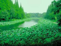 вот тут бы незацепляечкой пройтись.JPG