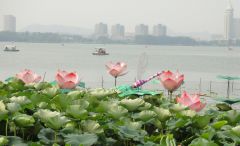 стрекозел огромный.JPG