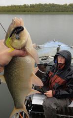 Last Import - 22.jpg