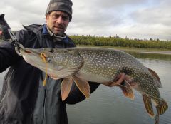 Last Import - 17.jpg