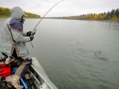 Last Import - 04.jpg