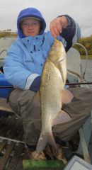 Last Import - 33.jpg