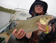 Last Import - 23.jpg