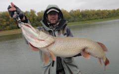 Last Import - 07.jpg