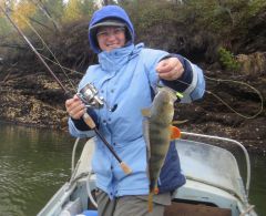 Last Import - 30.jpg